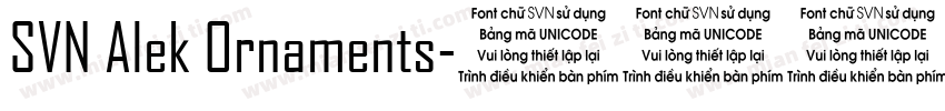 SVN Alek Ornaments字体转换